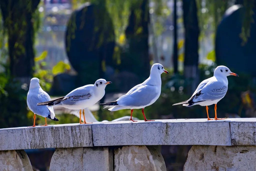 昆明旅游